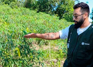 FPA pede reforço de R$ 1 bi em recursos para subvenção ao prêmio do seguro rural