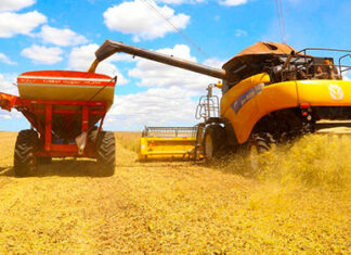 Com previsão de 21 milhões de toneladas, agricultores já colheram 90% da safra de soja