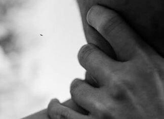 Suspeito de assassinar jornalista no PR usava aplicativo de relacionamento para extorquir vítimas