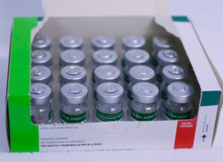 Paraná recebe 332 mil vacinas contra gripe e se prepara para início da campanha