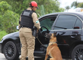 BPRv vai intensificar policiamento no feriado do Dia do Trabalhador