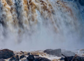 Em maio, CBH Norte Pioneiro agenda reuniões setoriais para convocação de novos membros