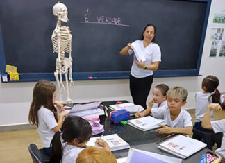 Pequenos cientistas desvendam o corpo humano em aula prática