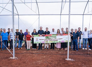 Nova estufa climatizada da UENP traz ganho acadêmico e ajuda pequenos produtores