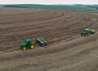 Termina plantio da 2ª safra de milho