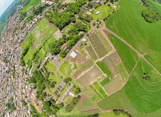 UENP lança versão virtual do 3º Dia de Campo no Campus Luiz Meneghel
