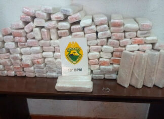 Polícia Militar apreende quase 100 kg de maconha e prende dois em Bandeirantes