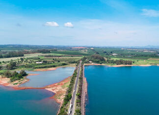 Carlópolis é exemplo de crescimento da área de vegetação nativa nos últimos anos