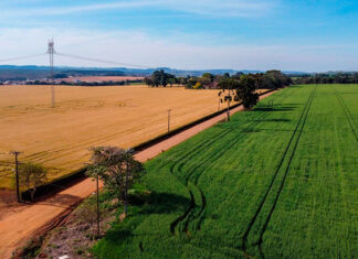 Com nova metodologia, Deral apresenta preços de terras de 2025