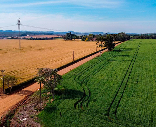 Com nova metodologia, Deral apresenta preços de terras de 2025