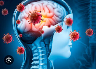 Meningite meningocócica evolui rápida e tem alta letalidade