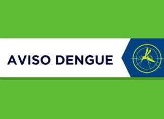 Paraná tem 5.802 novos casos de dengue e sete óbitos