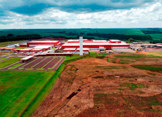 Paraná destina R$ 1 bilhão em créditos de ICMS para acelerar Plano Safra Estadual