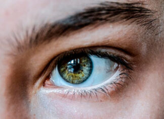 Transplante de sobrancelha ganha adeptos; médico explica quando é recomendado