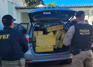 PMPR e PRF apreendem mais de 500 kg de maconha em Joaquim Távora