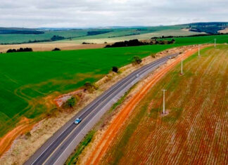 Prazo para regularização de áreas de plantio nas margens de rodovias sob concessão da EPR Litoral Pioneiro vai até 22 de agosto