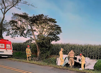 Jovem capota veículo na PR-436 entre Bandeirantes e Abatiá