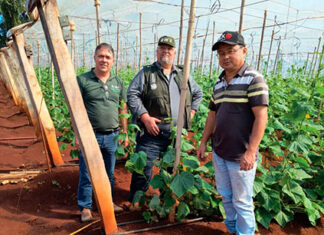 Técnico de ATeG: oportunidade profissional com boa remuneração