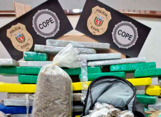 Maconha gourmet? PCPR apreende 327 quilos e prende três pessoas