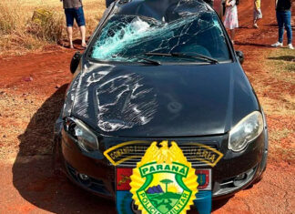 Colisão na PR-160 deixa uma pessoa ferida