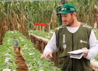 Sistema FAEP segue contratando técnicos de campo para ATeG