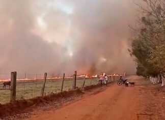 Bombeiros se mobilizam para conter incêndio entre Cambará e Jacarezinho