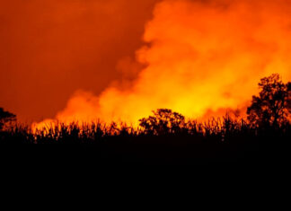 Setembro exige atenção redobrada contra incêndios no campo