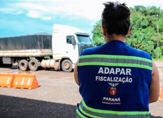 Adapar anuncia concurso com 57 vagas; salários chegam a R$ 8,4 mil