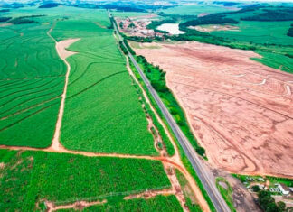 Com licença ambiental emitida, obras de duplicação entre Jacarezinho e S.A.Platina têm início autorizado