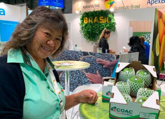 Pela terceira vez, goiaba de Carlópolis leva sabor e tradição do Paraná à Fruit Attraction, na Espanha