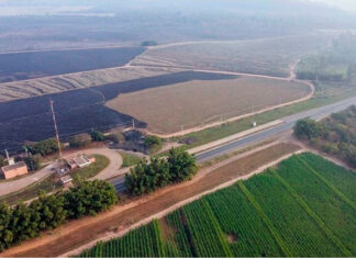 Prazo para identificação de prestadoras de telecomunicação termina dia 25