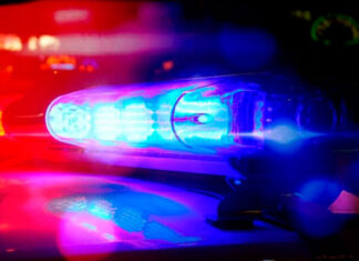 Operação conjunta resulta em prisão e apreensão de produtos ilegais em lojas de agropecuárias