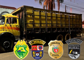 Presa quadrilha especializada em furto de gado no Norte Pioneiro