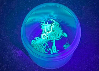 Profissionais de saúde do Norte Pioneiro recebem capacitação sobre acidentes com animais peçonhentos