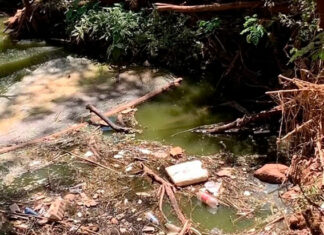 UENP repudia furto de ecobarreira usada em pesquisa científica