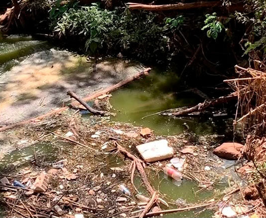 UENP repudia furto de ecobarreira usada em pesquisa científica