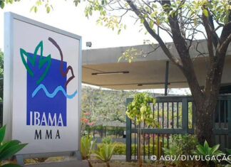 Governo autoriza nomeação de 460 aprovados em concurso do Ibama