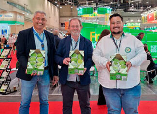 Na Espanha, goiaba de Carlópolis abre mercados e atrai novos compradores