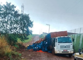 Manilha rompe em estrada rural de Bandeirantes e carga de legumes cai de caminhão