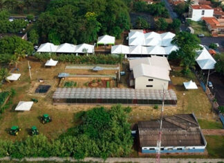 Primeira biofábrica pública do Norte Pioneiro será implantada em Bandeirantes