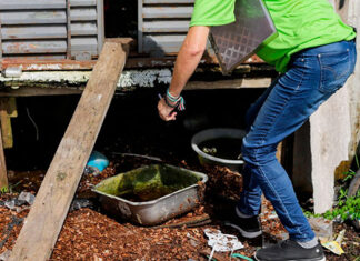 Sesa registra queda de mais de 80% de casos e mortes por dengue, este ano, no Paraná