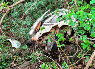 Corpo de Bombeiros encontra vítima de acidente na PR-436 em meio à vegetação