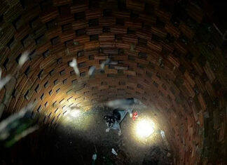 Cãozinho cai em fossa de seis metros e é resgatado por Bombeiros em Ibaiti