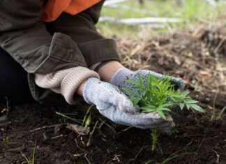 UENP sedia I Encontro de Educação em Solos do Paraná em Cornélio Procópio