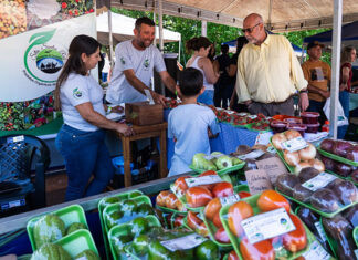 Agricultura familiar conhece soluções sustentáveis na produção de orgânicos