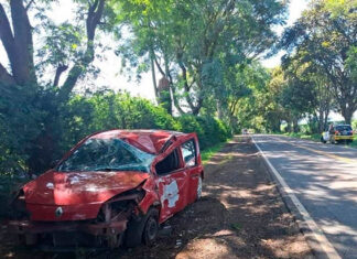Acidente na PR-218 em Carlópolis deixa mulher ferida na manhã desta segunda-feira