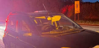 Colisão com javali na PR-855 deixa duas mulheres feridas em Bandeirantes