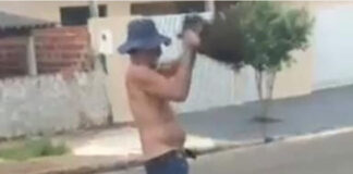 Homem é preso no Norte do Paraná após matar cadela a pauladas e esconder corpo em quintal