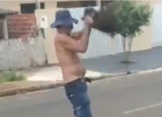 Homem é preso no Norte do Paraná após matar cadela a pauladas e esconder corpo em quintal