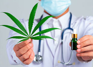 Anvisa aprova cultivo de cannabis por empresas e amplia acesso